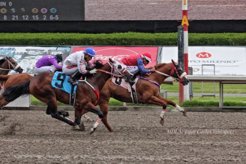 Los diez al millonario Futurity Garañones 2018